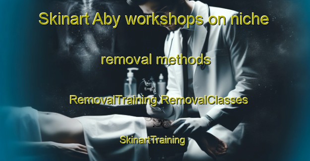 Skinart Aby workshops on niche removal methods | #RemovalTraining #RemovalClasses #SkinartTraining-Norway