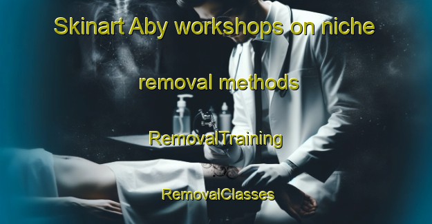 Skinart Aby workshops on niche removal methods | RemovalTraining | RemovalClasses | SkinartTraining-Norway