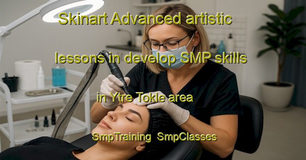 Skinart Advanced artistic lessons in develop SMP skills in Ytre Tokle area | SmpTraining | SmpClasses | SkinartTraining-Norway