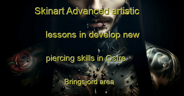 Skinart Advanced artistic lessons in develop new piercing skills in Ostre Bringsjord area | PiercingTraining | PiercingClasses | SkinartTraining-Norway