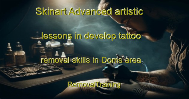 Skinart Advanced artistic lessons in develop tattoo removal skills in Doms area | RemovalTraining | RemovalClasses | SkinartTraining-Norway