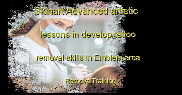 Skinart Advanced artistic lessons in develop tattoo removal skills in Emblem area | RemovalTraining | RemovalClasses | SkinartTraining-Norway