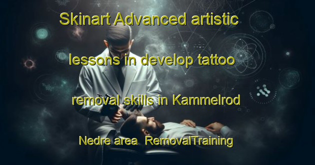 Skinart Advanced artistic lessons in develop tattoo removal skills in Kammelrod Nedre area | RemovalTraining | RemovalClasses | SkinartTraining-Norway