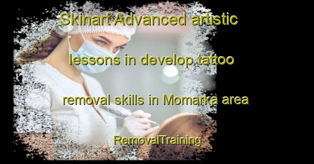 Skinart Advanced artistic lessons in develop tattoo removal skills in Momarka area | RemovalTraining | RemovalClasses | SkinartTraining-Norway