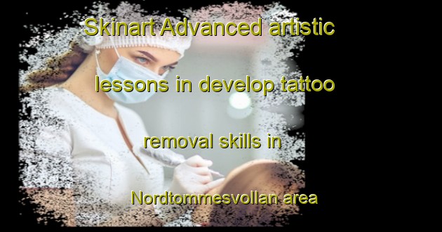 Skinart Advanced artistic lessons in develop tattoo removal skills in Nordtommesvollan area | RemovalTraining | RemovalClasses | SkinartTraining-Norway