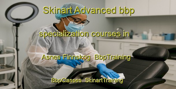 Skinart Advanced bbp specialization courses in Asnes Finnskog | BbpTraining | BbpClasses | SkinartTraining-Norway