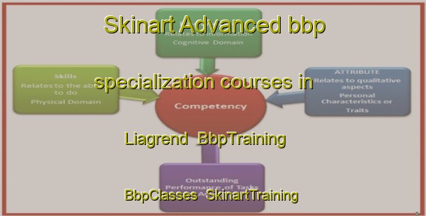 Skinart Advanced bbp specialization courses in Liagrend | BbpTraining | BbpClasses | SkinartTraining-Norway