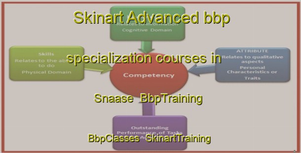 Skinart Advanced bbp specialization courses in Snaase | BbpTraining | BbpClasses | SkinartTraining-Norway