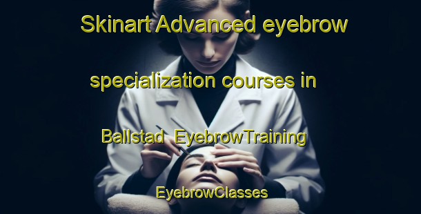 Skinart Advanced eyebrow specialization courses in Ballstad | EyebrowTraining | EyebrowClasses | SkinartTraining-Norway