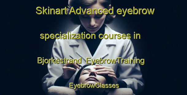 Skinart Advanced eyebrow specialization courses in Bjorkestrand | EyebrowTraining | EyebrowClasses | SkinartTraining-Norway