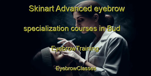 Skinart Advanced eyebrow specialization courses in Bud | EyebrowTraining | EyebrowClasses | SkinartTraining-Norway