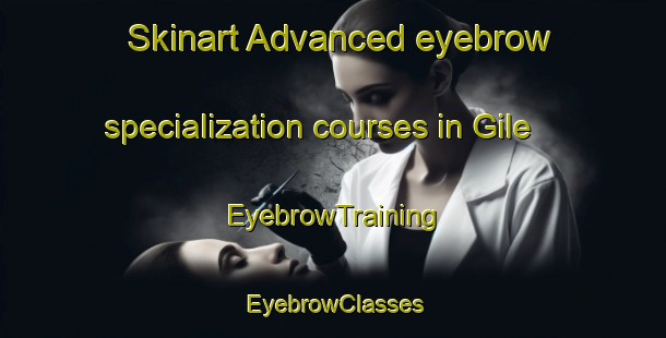 Skinart Advanced eyebrow specialization courses in Gile | EyebrowTraining | EyebrowClasses | SkinartTraining-Norway