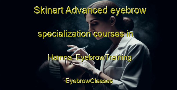 Skinart Advanced eyebrow specialization courses in Hamna | EyebrowTraining | EyebrowClasses | SkinartTraining-Norway