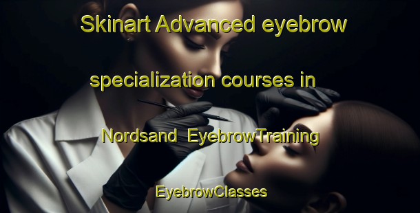 Skinart Advanced eyebrow specialization courses in Nordsand | EyebrowTraining | EyebrowClasses | SkinartTraining-Norway