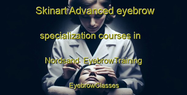 Skinart Advanced eyebrow specialization courses in Nordsand | EyebrowTraining | EyebrowClasses | SkinartTraining-Norway