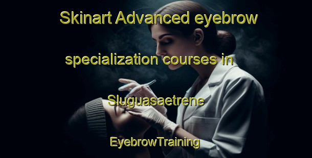 Skinart Advanced eyebrow specialization courses in Sluguasaetrene | EyebrowTraining | EyebrowClasses | SkinartTraining-Norway