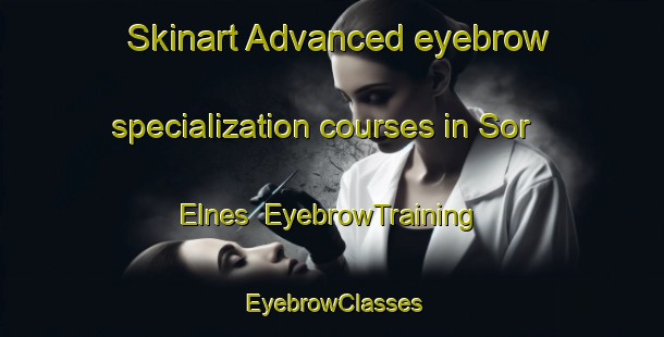 Skinart Advanced eyebrow specialization courses in Sor Elnes | EyebrowTraining | EyebrowClasses | SkinartTraining-Norway
