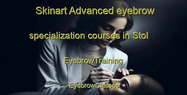 Skinart Advanced eyebrow specialization courses in Stol | EyebrowTraining | EyebrowClasses | SkinartTraining-Norway
