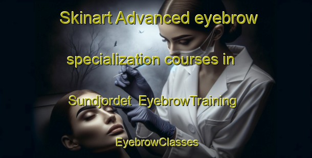 Skinart Advanced eyebrow specialization courses in Sundjordet | EyebrowTraining | EyebrowClasses | SkinartTraining-Norway