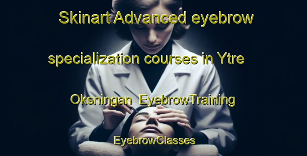 Skinart Advanced eyebrow specialization courses in Ytre Oksningan | EyebrowTraining | EyebrowClasses | SkinartTraining-Norway