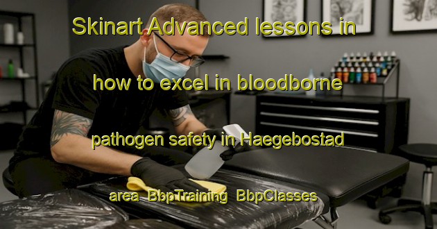 Skinart Advanced lessons in how to excel in bloodborne pathogen safety in Haegebostad area | BbpTraining | BbpClasses | SkinartTraining-Norway