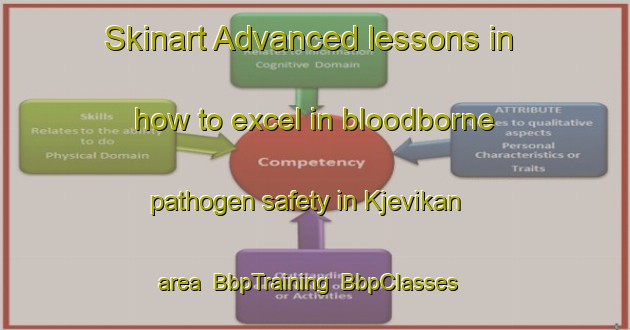 Skinart Advanced lessons in how to excel in bloodborne pathogen safety in Kjevikan area | BbpTraining | BbpClasses | SkinartTraining-Norway