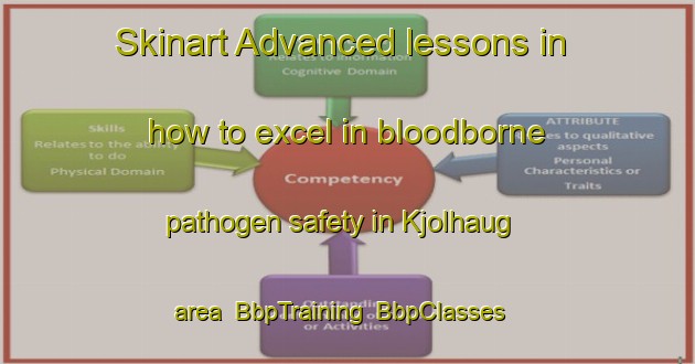 Skinart Advanced lessons in how to excel in bloodborne pathogen safety in Kjolhaug area | BbpTraining | BbpClasses | SkinartTraining-Norway