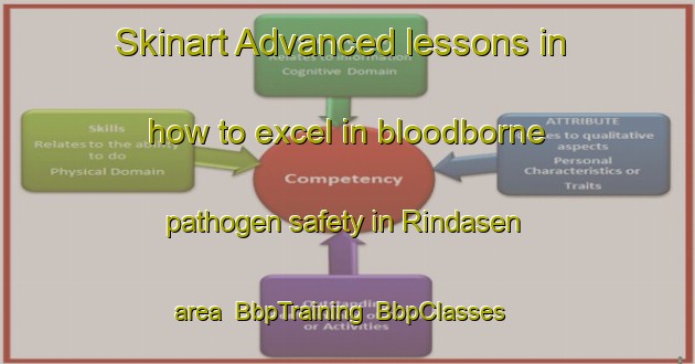 Skinart Advanced lessons in how to excel in bloodborne pathogen safety in Rindasen area | BbpTraining | BbpClasses | SkinartTraining-Norway