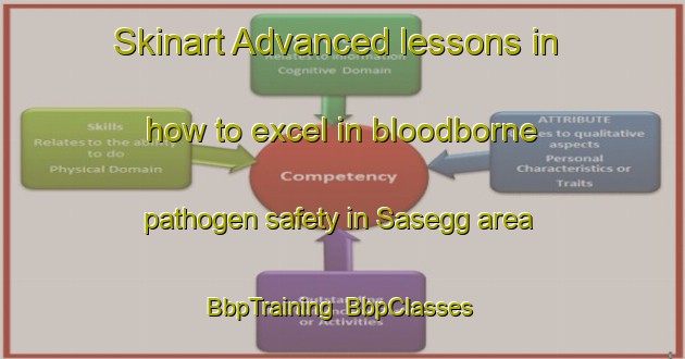 Skinart Advanced lessons in how to excel in bloodborne pathogen safety in Sasegg area | BbpTraining | BbpClasses | SkinartTraining-Norway
