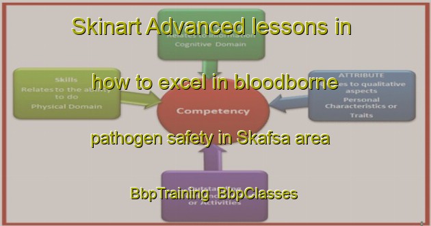 Skinart Advanced lessons in how to excel in bloodborne pathogen safety in Skafsa area | BbpTraining | BbpClasses | SkinartTraining-Norway