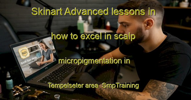 Skinart Advanced lessons in how to excel in scalp micropigmentation in Tempelseter area | SmpTraining | SmpClasses | SkinartTraining-Norway