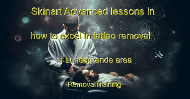 Skinart Advanced lessons in how to excel in tattoo removal in Lundagrende area | RemovalTraining | RemovalClasses | SkinartTraining-Norway