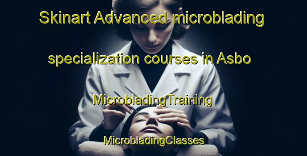 Skinart Advanced microblading specialization courses in Asbo | #MicrobladingTraining #MicrobladingClasses #SkinartTraining-Norway