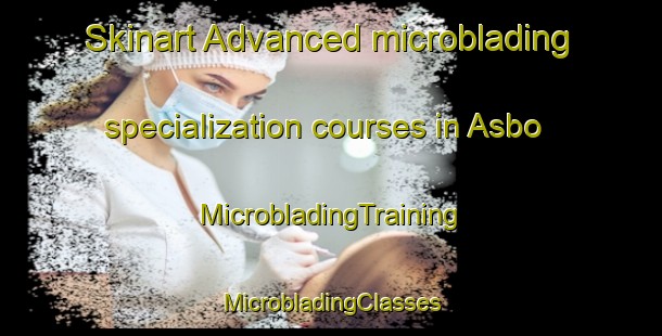 Skinart Advanced microblading specialization courses in Asbo | #MicrobladingTraining #MicrobladingClasses #SkinartTraining-Norway