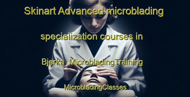 Skinart Advanced microblading specialization courses in Bjerka | #MicrobladingTraining #MicrobladingClasses #SkinartTraining-Norway