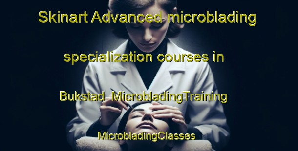 Skinart Advanced microblading specialization courses in Bukstad | MicrobladingTraining | MicrobladingClasses | SkinartTraining-Norway