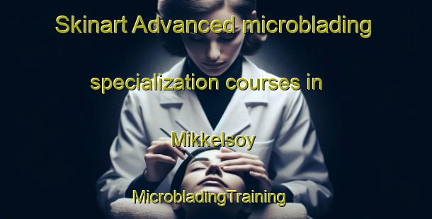 Skinart Advanced microblading specialization courses in Mikkelsoy | MicrobladingTraining | MicrobladingClasses | SkinartTraining-Norway