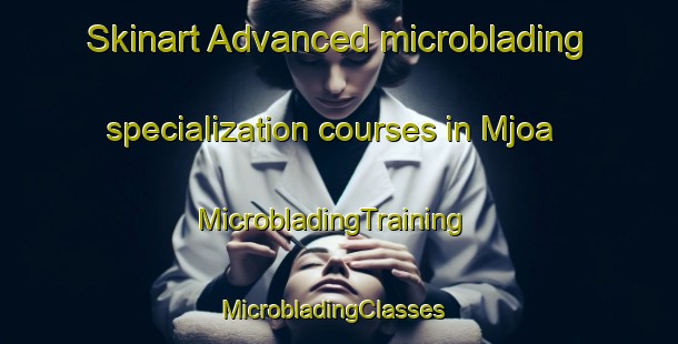 Skinart Advanced microblading specialization courses in Mjoa | MicrobladingTraining | MicrobladingClasses | SkinartTraining-Norway