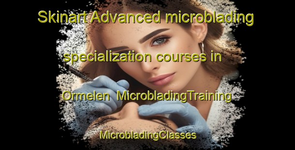 Skinart Advanced microblading specialization courses in Ormelen | #MicrobladingTraining #MicrobladingClasses #SkinartTraining-Norway