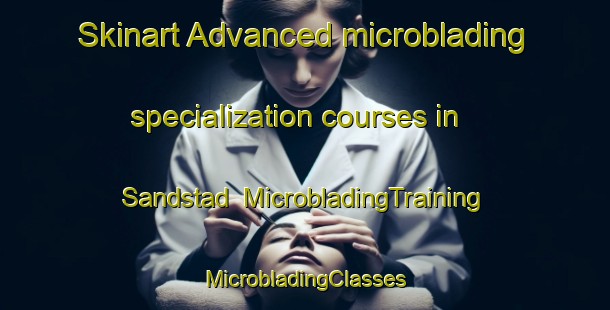 Skinart Advanced microblading specialization courses in Sandstad | #MicrobladingTraining #MicrobladingClasses #SkinartTraining-Norway