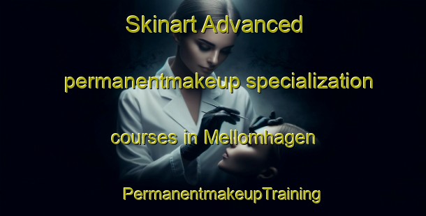 Skinart Advanced permanentmakeup specialization courses in Mellomhagen | #PermanentmakeupTraining #PermanentmakeupClasses #SkinartTraining-Norway