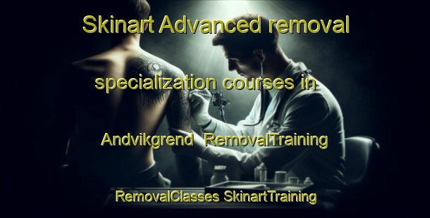 Skinart Advanced removal specialization courses in Andvikgrend | #RemovalTraining #RemovalClasses #SkinartTraining-Norway