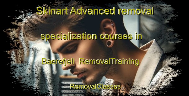 Skinart Advanced removal specialization courses in Baerefjell | RemovalTraining | RemovalClasses | SkinartTraining-Norway