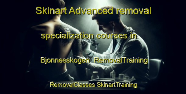 Skinart Advanced removal specialization courses in Bjonnesskogen | #RemovalTraining #RemovalClasses #SkinartTraining-Norway