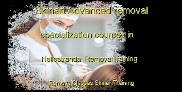 Skinart Advanced removal specialization courses in Hellestranda | #RemovalTraining #RemovalClasses #SkinartTraining-Norway