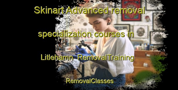 Skinart Advanced removal specialization courses in Litlehamn | RemovalTraining | RemovalClasses | SkinartTraining-Norway