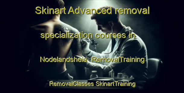 Skinart Advanced removal specialization courses in Nodelandsheia | #RemovalTraining #RemovalClasses #SkinartTraining-Norway