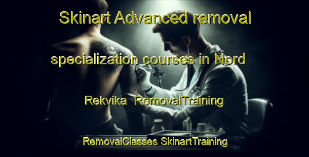 Skinart Advanced removal specialization courses in Nord Rekvika | #RemovalTraining #RemovalClasses #SkinartTraining-Norway