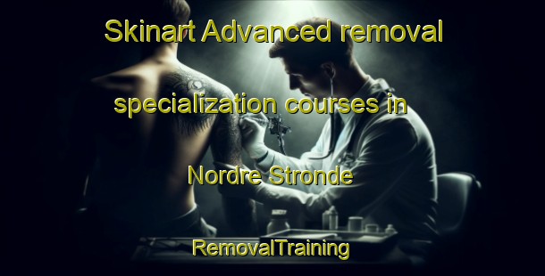 Skinart Advanced removal specialization courses in Nordre Stronde | RemovalTraining | RemovalClasses | SkinartTraining-Norway
