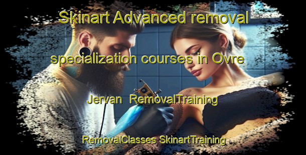 Skinart Advanced removal specialization courses in Ovre Jervan | #RemovalTraining #RemovalClasses #SkinartTraining-Norway